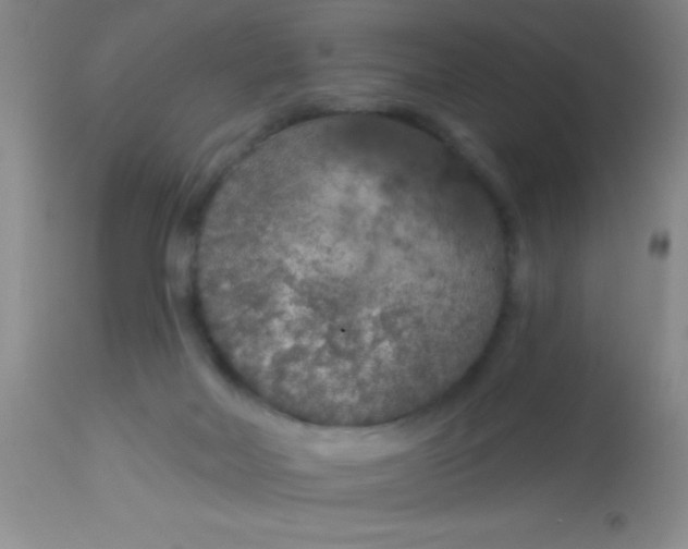 X0000112890026200909181922