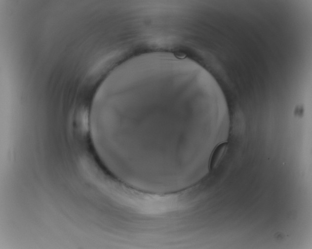 X0000112890027200909181922