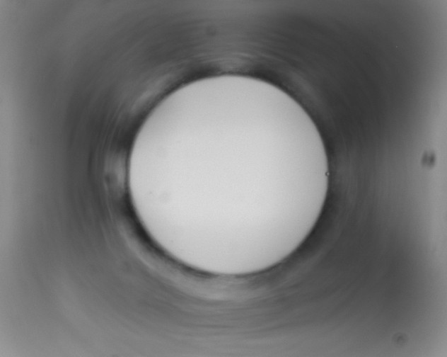 X0000112890028200909181922