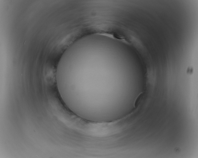 X0000112890029200909181922