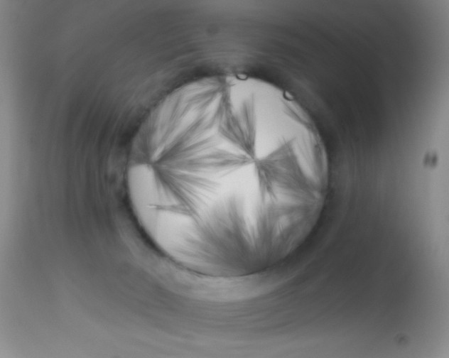X0000112890030200909181922