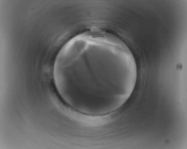 X0000112890031200909181922