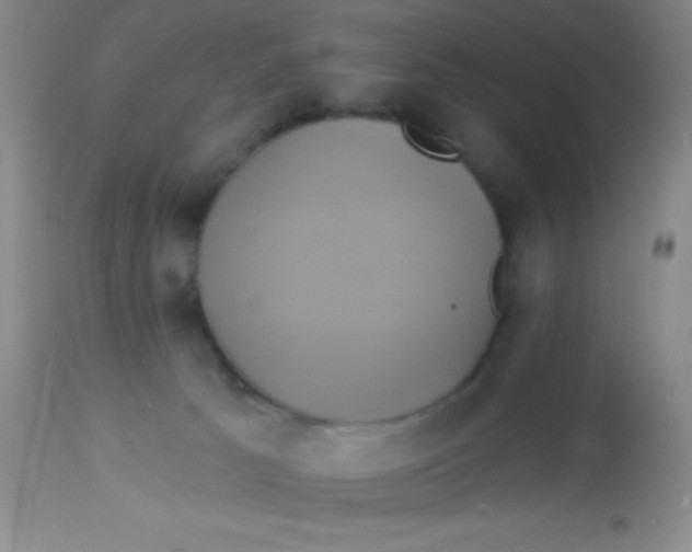 X0000112890033200909181922