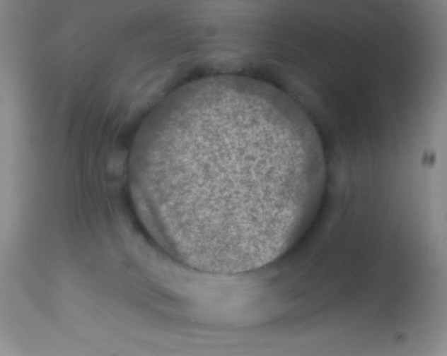 X0000112890034200909181922
