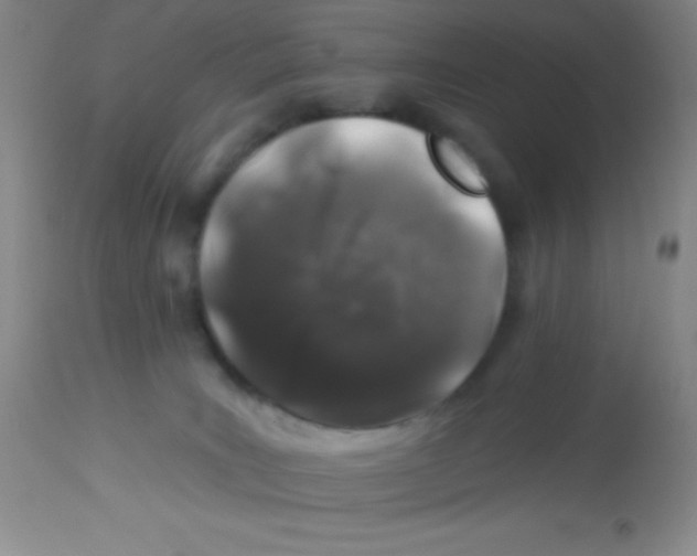 X0000112890035200909181922
