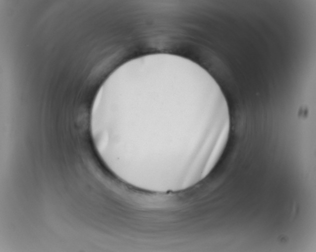 X0000112890036200909181922