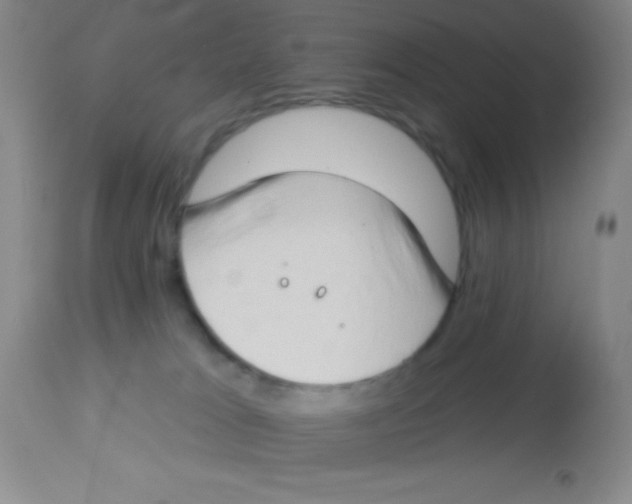X0000112890037200909181922