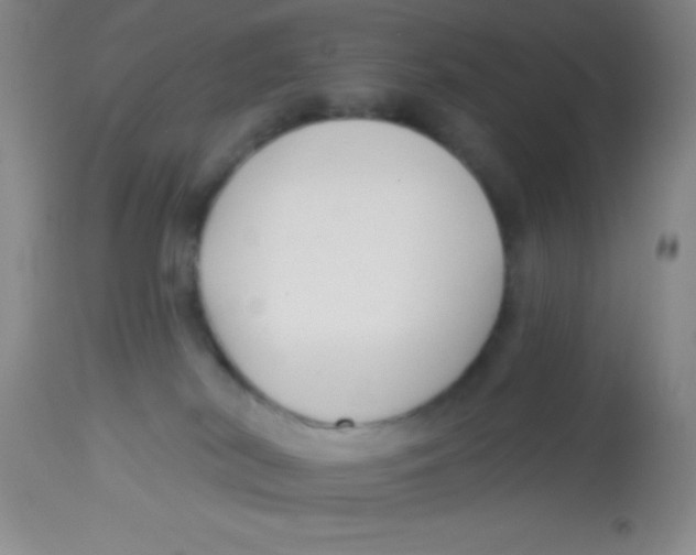 X0000112890038200909181922