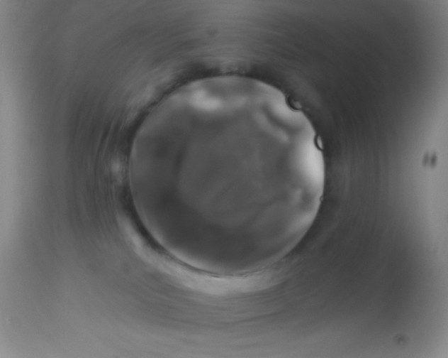 X0000112890039200909181922