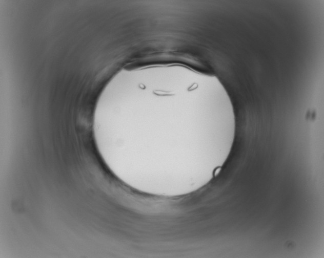 X0000112890040200909181922