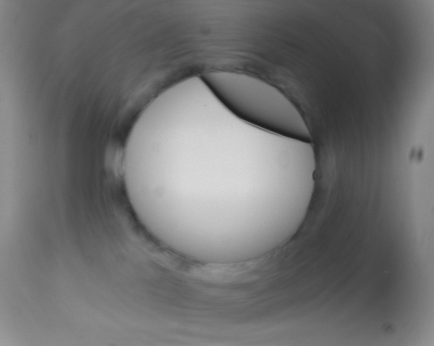 X0000112890041200909181922