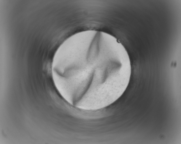 X0000112890042200909181922