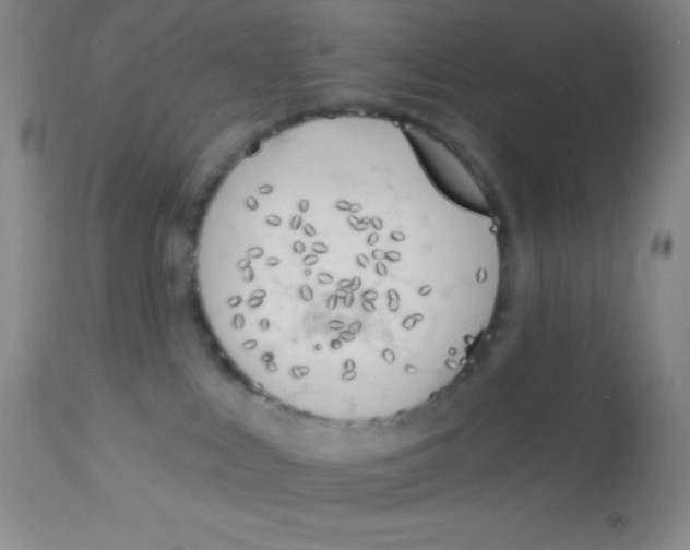 X0000112890043200909181922