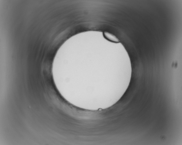 X0000112890044200909181922