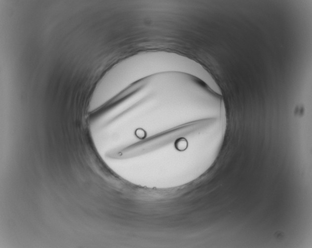 X0000112890045200909181922