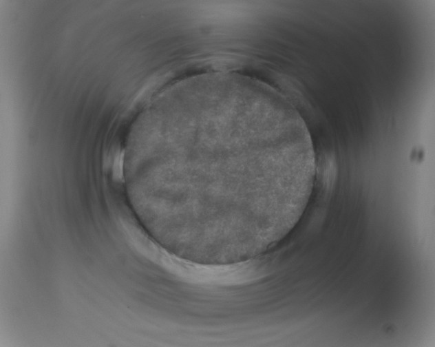 X0000112890046200909181922