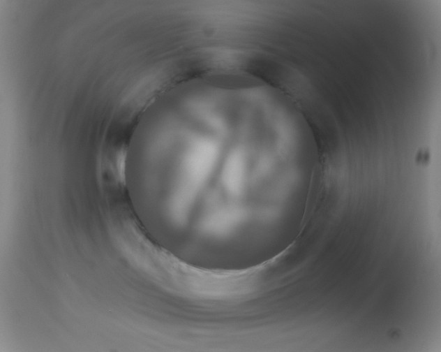 X0000112890047200909181922