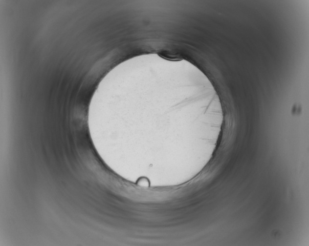 X0000112890048200909181922