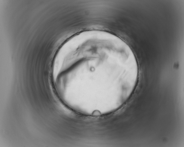 X0000112890049200909181921