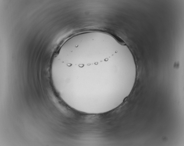 X0000112890050200909181921