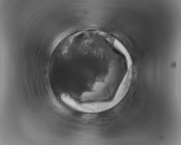 X0000112890051200909181921