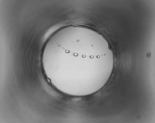 X0000112890054200909181921