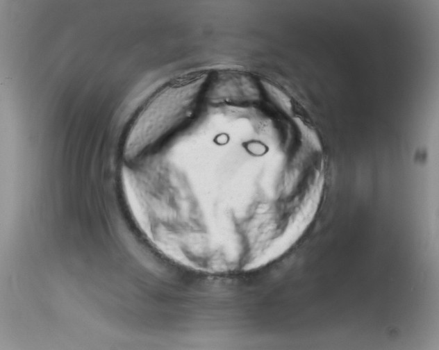 X0000112890055200909181921