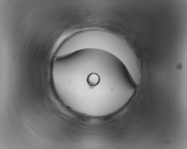 X0000112890056200909181921