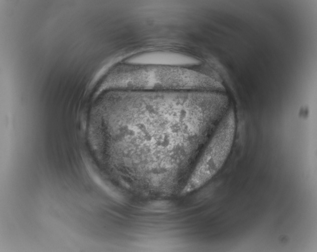 X0000112890059200909181921