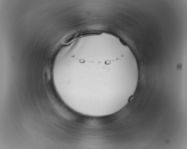 X0000112890062200909181921
