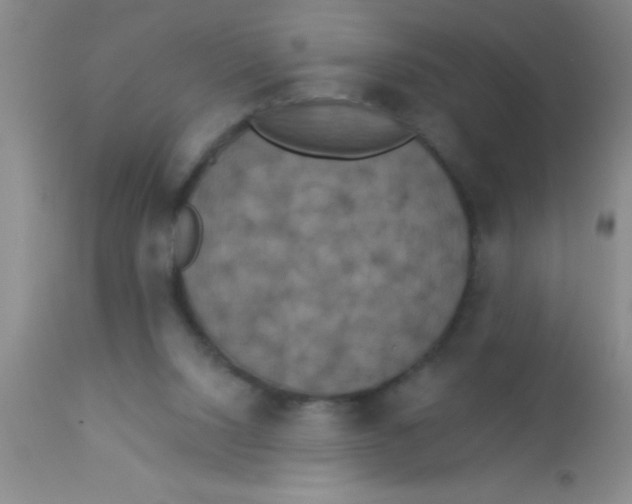 X0000112890064200909181921