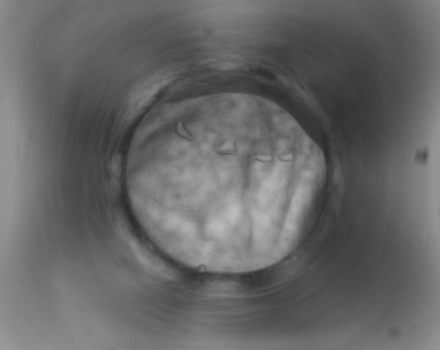 X0000112890066200909181921