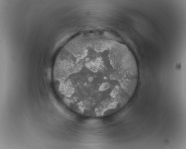 X0000112890067200909181921