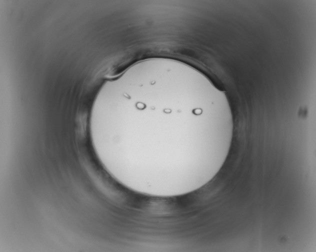 X0000112890070200909181921