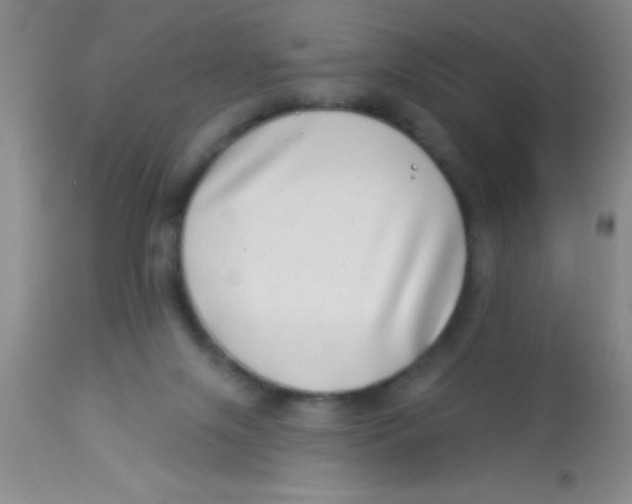 X0000112890071200909181921