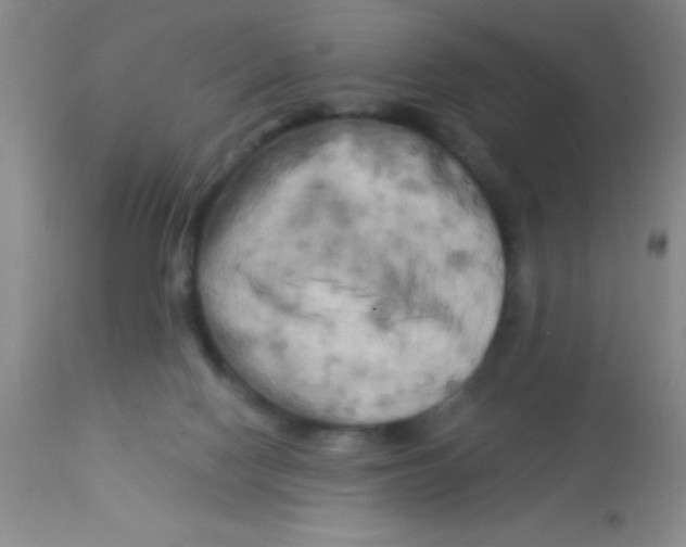 X0000112890074200909181921