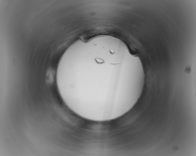 X0000112890075200909181921