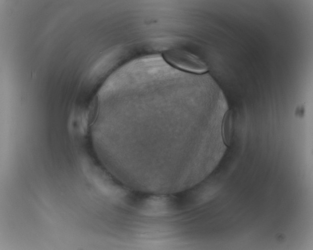 X0000112890076200909181921