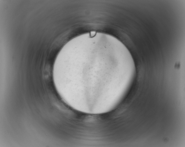 X0000112890077200909181921