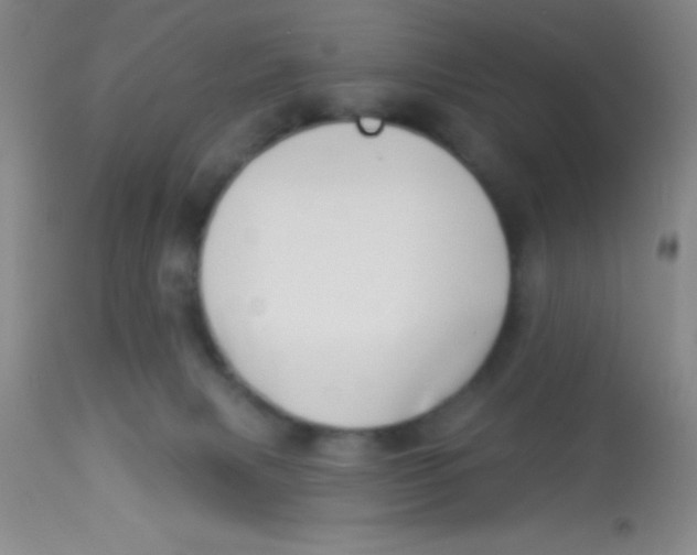 X0000112890079200909181921
