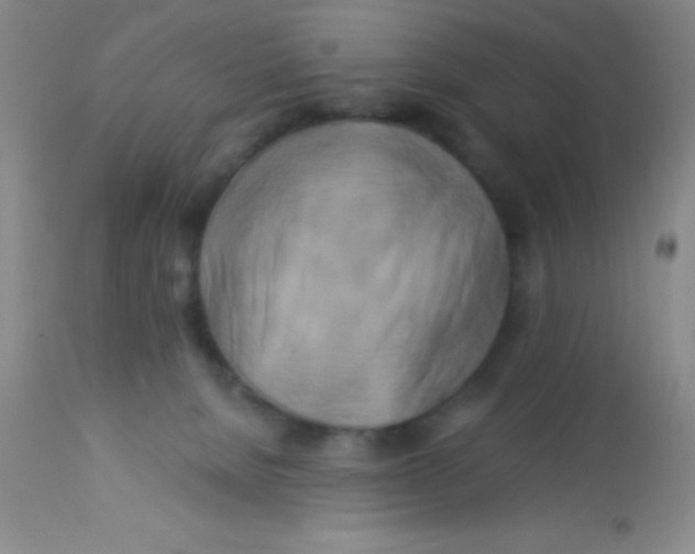 X0000112890080200909181921