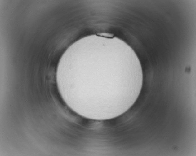 X0000112890083200909181922
