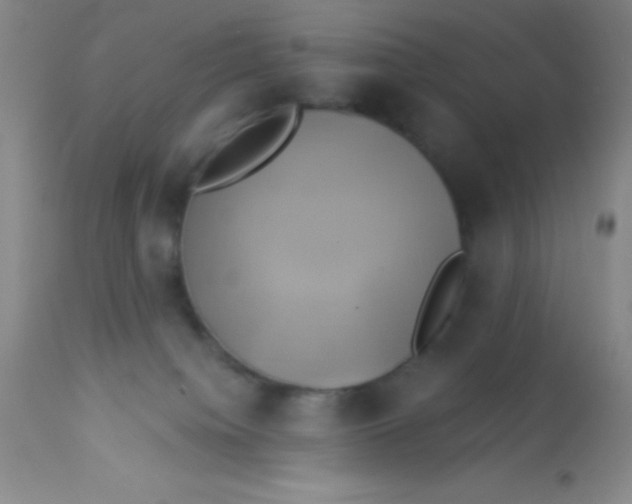 X0000112890084200909181922