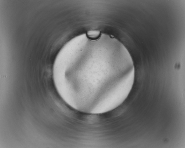X0000112890085200909181922