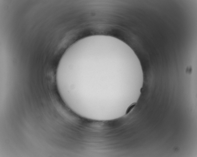 X0000112890086200909181922