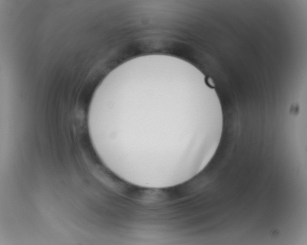 X0000112890087200909181922