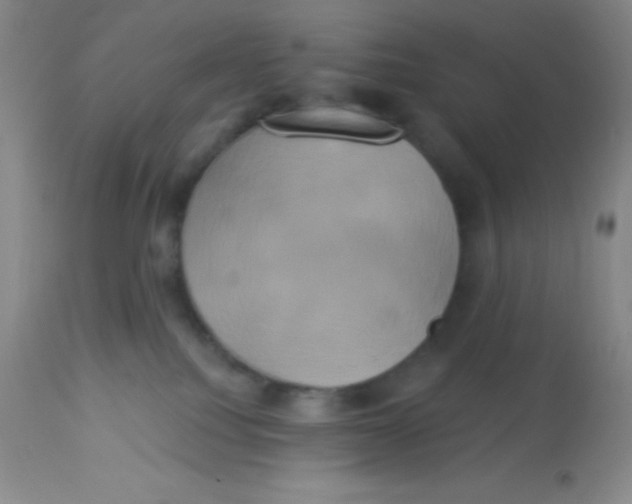 X0000112890088200909181922