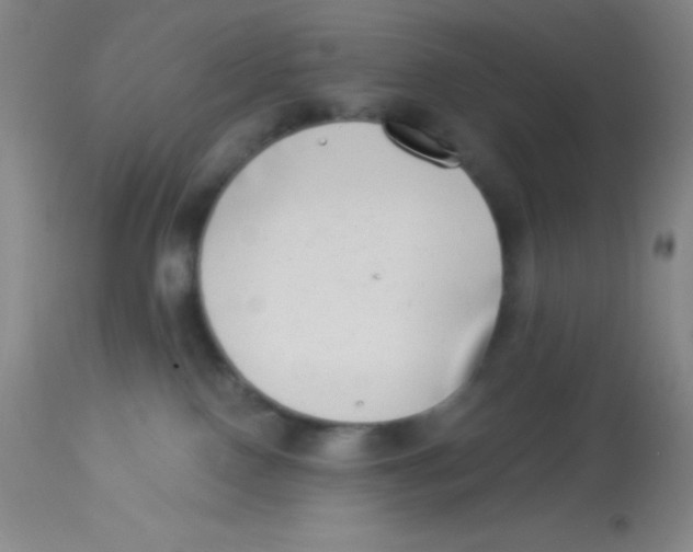 X0000112890090200909181922