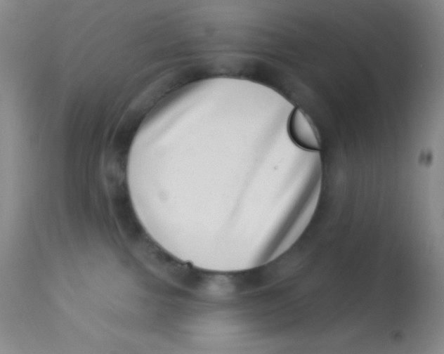 X0000112890091200909181922