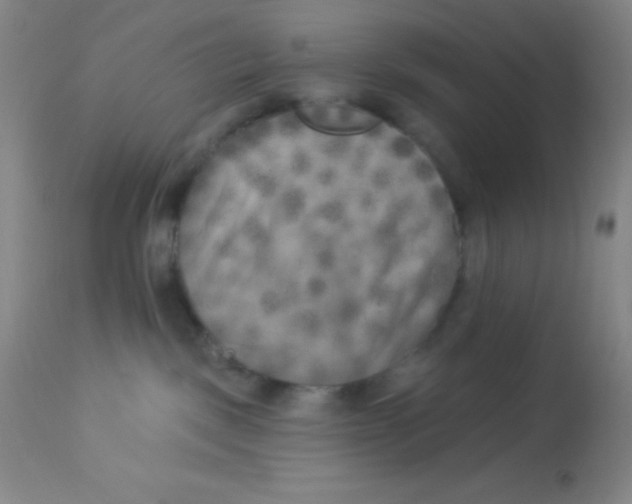 X0000112890093200909181922
